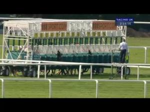 Video preview image for Sandown Park 14:50 - Kalaglow Handicap