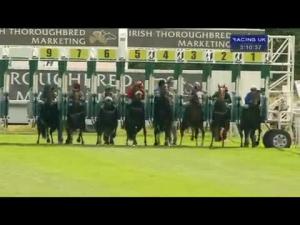 Video preview image for York 15:10 - Irish Thoroughbred Marketing Gimcrack Stakes (Group 2)