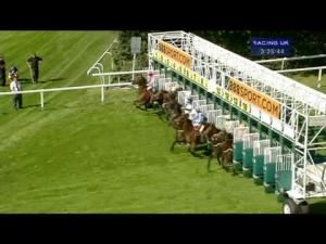 Video preview image for Sandown Park 15:25 - Ripley Handicap
