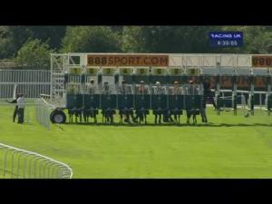 Video preview image for Sandown Park 16:35 - 888Sport Handicap