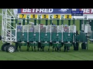 Video preview image for Newbury 18:10 - Betfred 'Be Part Of The Action' Nursery