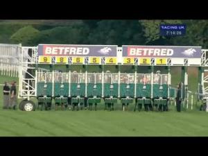 Video preview image for Newbury 19:10 - Betfred 'Supports Jack Berry House' Fillies' Handicap (Str)