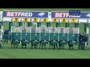 Video preview image for Newbury 19:40 - Betfred Racing 'Like Us On Facebook' Handicap