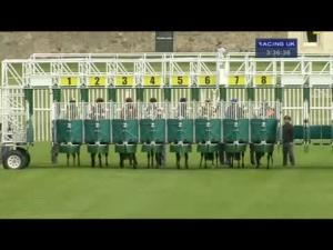 Video preview image for Musselburgh 15:30 - Redbuild Handicap
