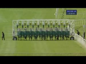 Video preview image for Catterick Bridge 16:10 - Support Walking The Courses Handicap