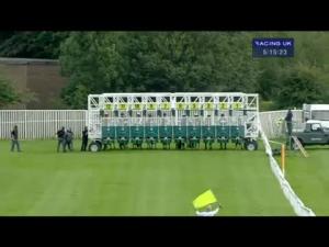 Video preview image for Catterick Bridge 17:15 - Book Now For Saturday 19th September Handicap