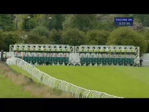 Video preview image for Thirsk 15:25 - Theakston Lightfoot Handicap