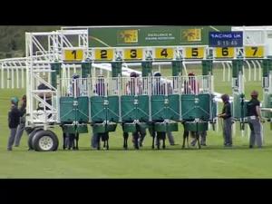 Video preview image for Newmarket 17:15 - Trm Invest In Calphormin Handicap