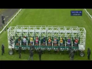 Video preview image for Hamilton Park 17:55 - Frank Kelly Memorial Handicap