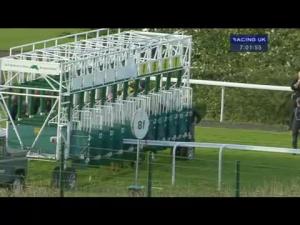 Video preview image for Hamilton Park 19:00 - Scullion Road Traffic Law Open Maiden Stakes