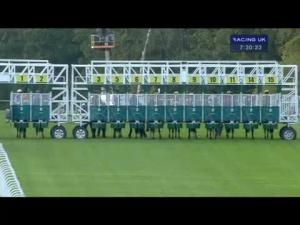 Video preview image for Hamilton Park 19:30 - Ladbrokes Lanark Silver Bell Handicap