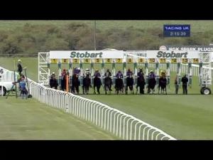 Video preview image for Newmarket 14:15 - Stay At Southend Airport Holiday Inn EBF Stallions Maiden Stakes (Plus 10) (Div 1)