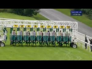 Video preview image for Goodwood 16:20 - Absolute Aesthetics Maiden Fillies' Stakes (Plus 10)