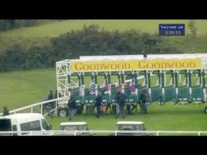 Video preview image for Goodwood 17:25 - Apollo Motor Group Handicap