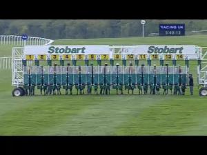 Video preview image for Newmarket 17:40 - Fly Adria Airways From London Southend Airport Handicap