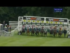 Video preview image for Beverley 17:05 - Beverley Lions Handicap