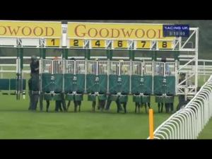 Video preview image for Goodwood 17:15 - Butlins Bank Holiday Handicap