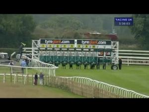 Video preview image for Beverley 17:35 - Beverley Beer & Folk Festival Today Handicap (Div 2)