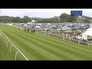 Video preview image for Cartmel 14:15 - Cartmel 25th Anniversary Sticky Toffee Pudding Novices' Hurdle