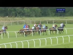 Video preview image for Huntingdon 14:40 - bandmpalletsupplies.co.uk Maiden Hurdle