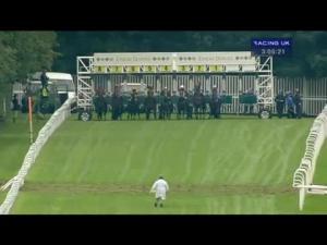 Video preview image for Epsom Downs 15:05 - Gatwick Airport Charity Partners Handicap