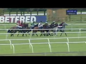 Video preview image for Huntingdon 15:50 - Brian Martin Pallets Corby Northants Novices' Handicap Hurdle