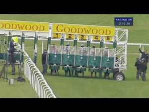 Video preview image for Goodwood 14:10 - EBF Stallions Maiden Fillies' Stakes (Plus 10)