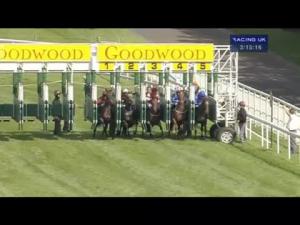 Video preview image for Goodwood 15:15 - Custom Fire and Security Nursery Fillies' Handicap