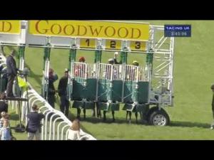 Video preview image for Goodwood 15:45 - ebfstallions.com Peter Willett Conditions Stakes (Plus 10)