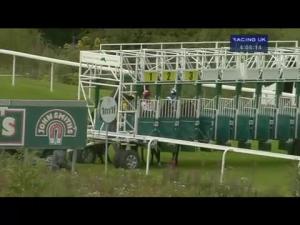 Video preview image for Hamilton Park 16:00 - Drinks Express Maiden Stakes