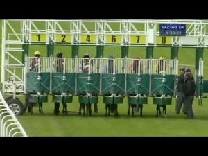 Video preview image for Hamilton Park 16:30 - Always Trying Handicap