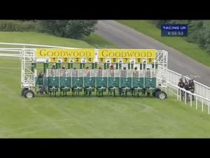 Video preview image for Goodwood 16:55 - Clancy Docwra Charity Handicap
