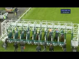 Video preview image for Hamilton Park 17:05 - Highland Spring Water Hamilton Park 2-y-o Series Final Nursery