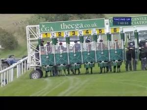 Video preview image for Salisbury 13:40 - Whitsbury Manor Stud EBF Stallions Novice Stakes (Plus 10)