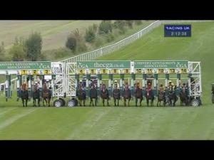 Video preview image for Salisbury 14:10 - Irish Yearling Sales Nursery