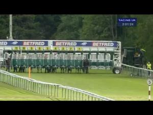 Video preview image for Haydock Park 14:00 - Betfred Welcome To Jack Berry House Day EBF Maiden Fillies' Stakes (Plus 10) (Div 1)