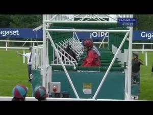 Video preview image for Ascot 16:20 - Stella Artois Handicap (Str)