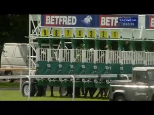 Video preview image for Haydock Park 14:00 - betfred.com Superior Mile (Group 3)