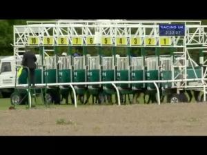 Video preview image for Thirsk 14:30 - British Stallion Studs EBF Maiden Stakes (Div 2) (Plus 10)
