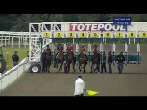 Video preview image for Kempton Park 14:55 - Totequadpot Conditions Stakes (Plus 10)