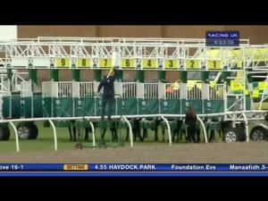 Video preview image for Thirsk 16:50 - Breeders Backing Racing EBF Maiden Fillies' Stakes