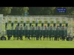 Video preview image for York 15:35 - Wdy UK Ltd Irish Champions Weekend EBF Maiden Stakes (Plus 10)