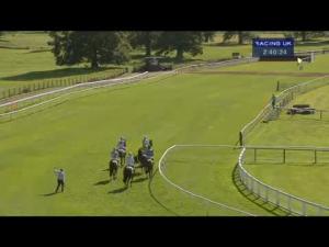 Video preview image for Perth 14:40 - Mackies Ice Cream Handicap Hurdle