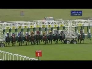 Video preview image for Redcar 16:50 - Hold Your Christmas Party Here Handicap