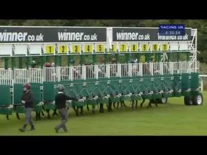 Video preview image for Carlisle 16:35 - Andersons (Denton Holme) Sawmills Carlisle Handicap