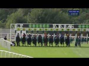 Video preview image for Sandown Park 14:55 - EBF Stallions/Download The Unibet Racing App Maiden Stakes