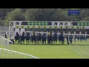 Video preview image for Sandown Park 15:30 - Sungard Handicap