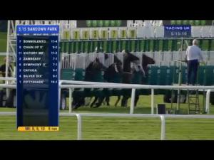 Video preview image for Sandown Park 17:15 - Daily Price Boosts With Unibet Handicap