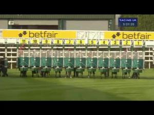 Video preview image for Chester 17:30 - Budweiser Handicap (Gentleman Amateur Riders)