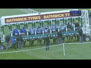 Video preview image for Salisbury 19:20 - Breeders Backing Racing EBF Maiden Stakes